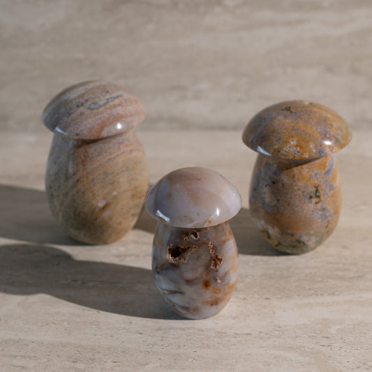 Three stone mushrooms on a sandy surface