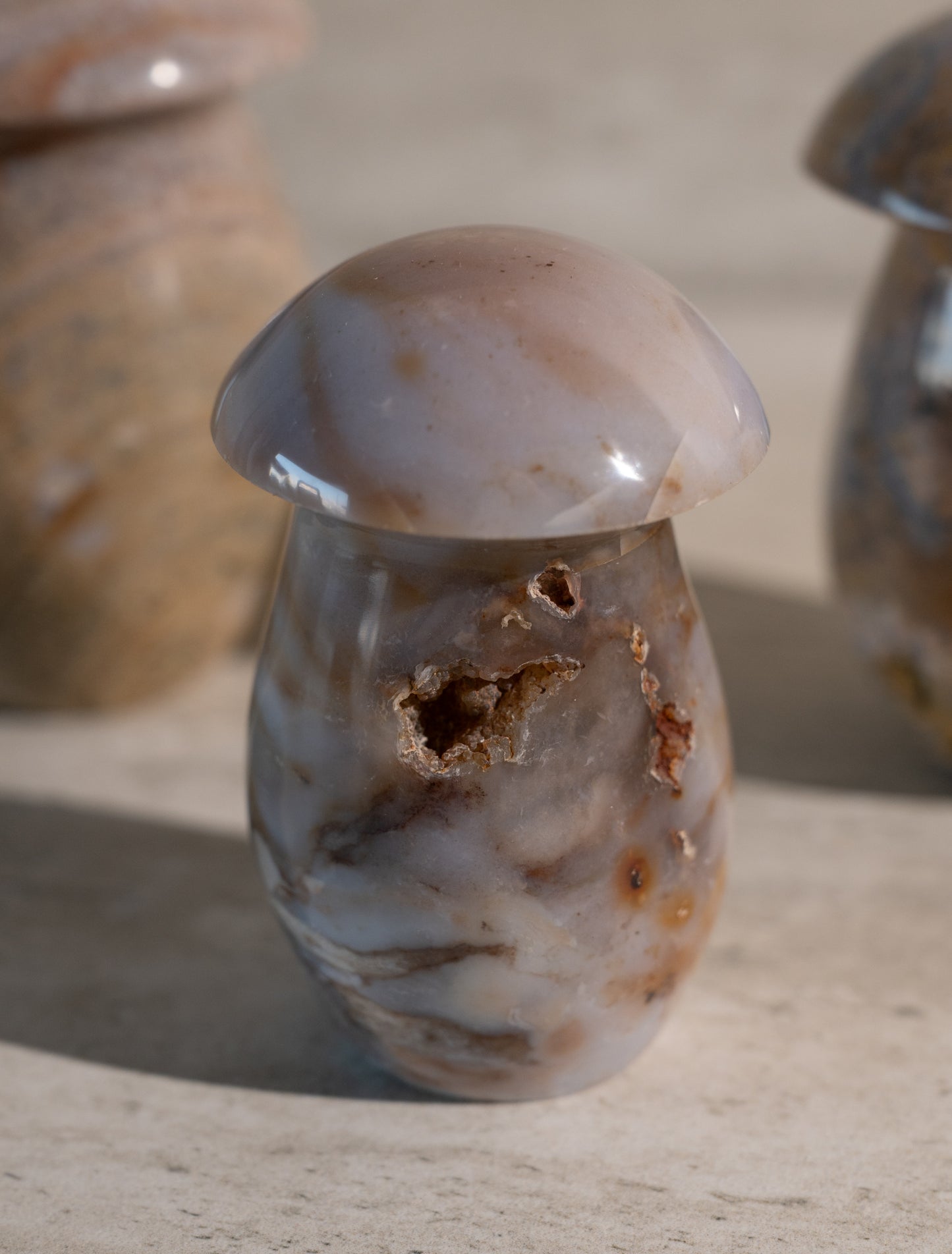 JASPER MUSHROOM