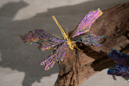 KYANITE DRAGONFLY