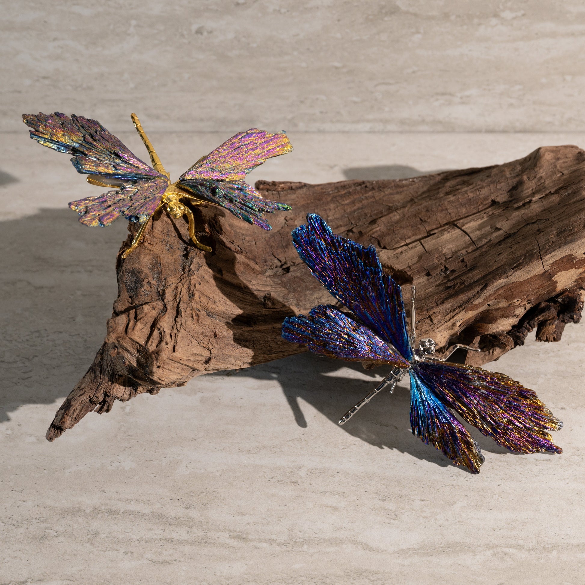 Artistic arrangement of colorful butterfly wings on a piece of driftwood.