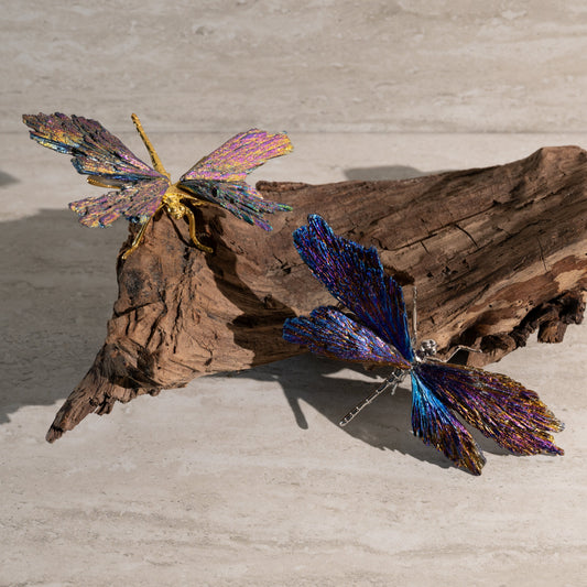 Artistic arrangement of colorful butterfly wings on a piece of driftwood.