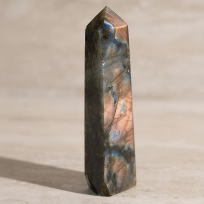 Polished labradorite crystal on a neutral background