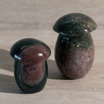 Two stone mushrooms on a beige surface