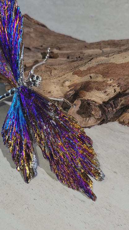 KYANITE DRAGONFLY